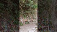АБХАЗИЯ 🆎. ВОДОПАД,, МУЖСКИЕ СЛЕЗЫ"