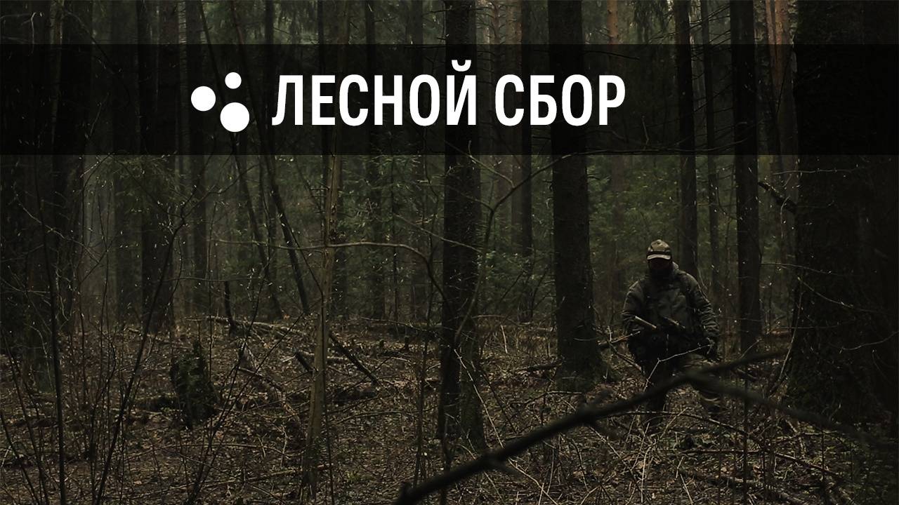 Лесной сбор (02.05.2025 г.) | Milsim г. Киров