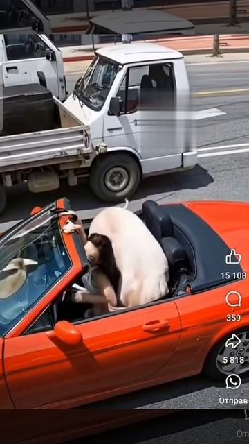Две подрушки в кабриолете