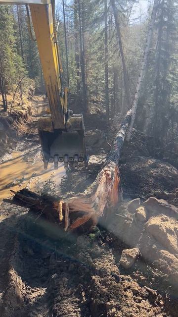 Тайга, экскаватор, валка леса, работа, дорога, природа