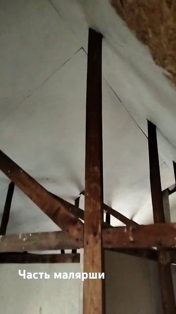 Дали шороху