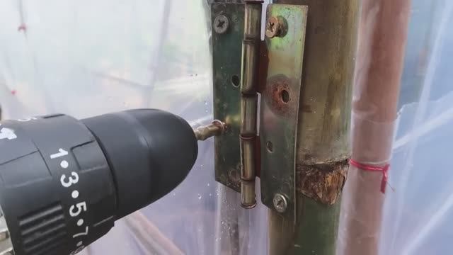 Простая теплица своими руками для выращивания помидоров