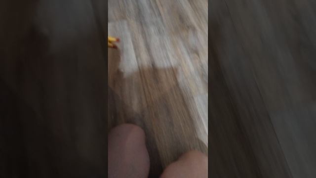 Мишень+Арчи=🐶🩷🩷🩷