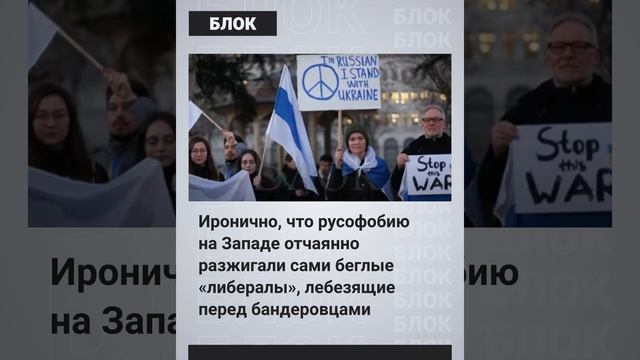 Шендерович*    опять недоволен. Теперь уже Западом.