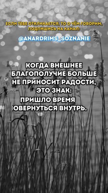 Когда внешнее
благополучие больше
не приносит радости