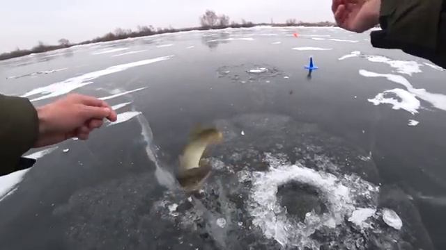ЛЕСКА ТРЕЩИТ В ПАЛЬЦАХ! Рыбалка на жерлицы. Зимняя рыбалка 2018
