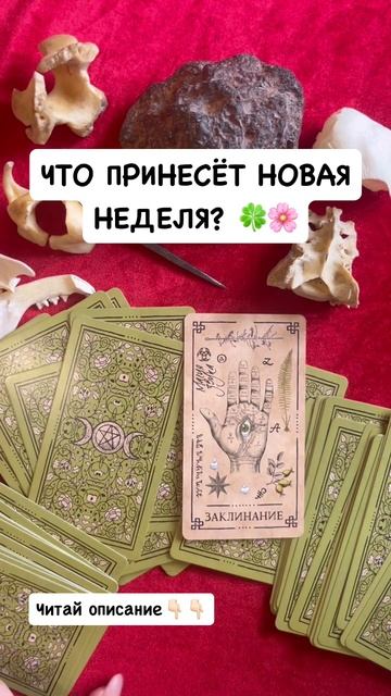 ЧТО ПРИНЕСЁТ НОВАЯ НЕДЕЛЯ??🍀🍀