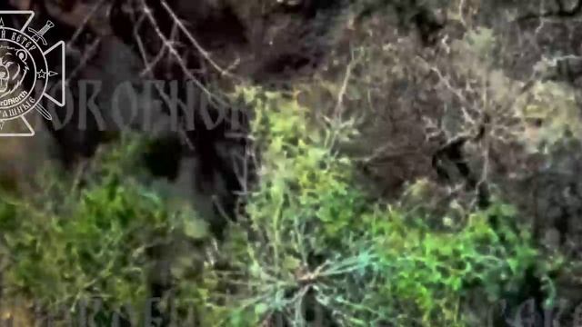 💥Бои на Харьковском направлении: Северяне сжигают опорный пункт украинских фашистов !!!
