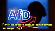 Почти половина немцев высказались за запрет АдГ