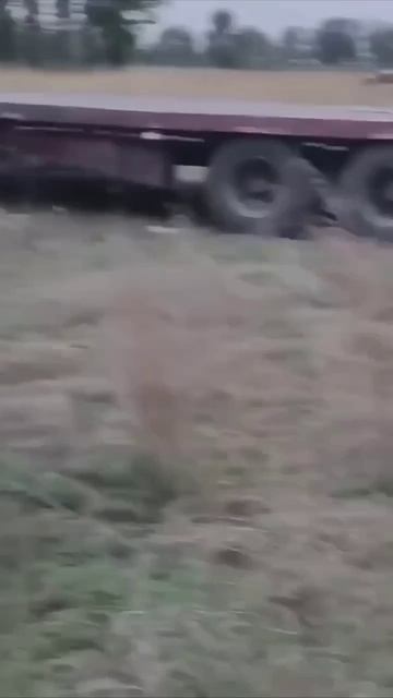 Toyota Prado развлекаются.