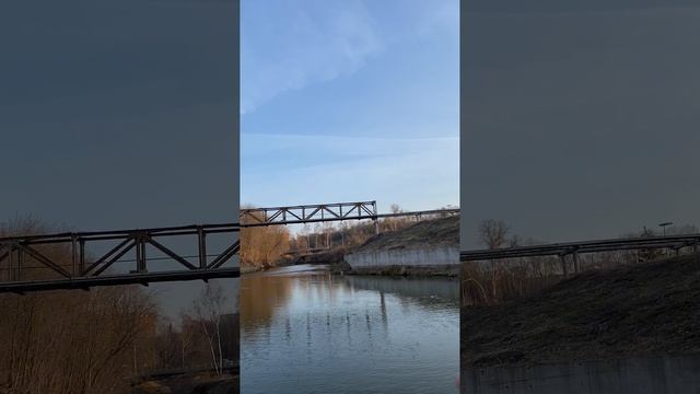 Alkamerka Fish ловлю на Тойме