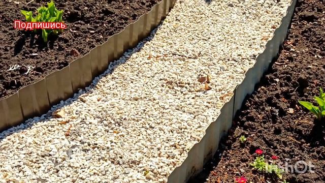 Делюсь🌷красотой☀️прогулка‼️#красотаприроды #жизнь инвалида #онкология неприговор #цветы #прогулка