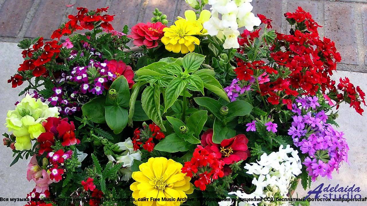 ✸ ♫ ❤ Видео, от которого немеешь - Dramatic Sad Powerful Chorus -- Lowtone Music -- Dramatic Sad + C