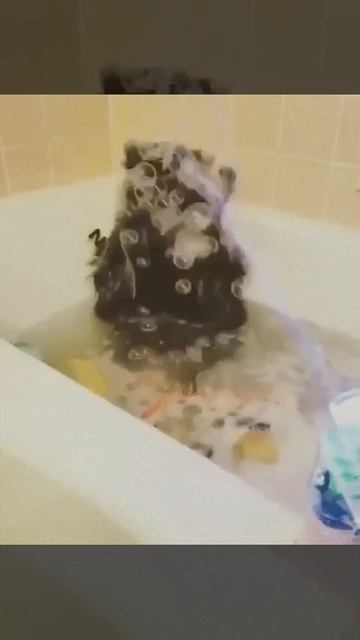 Енот в ванне 🦨🥰🛁