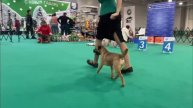 Монка