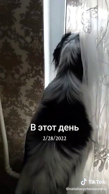 Сосед вернулся...)))