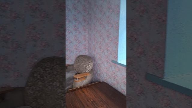 Обзор дачного участка
