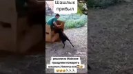 1000011920.mp4