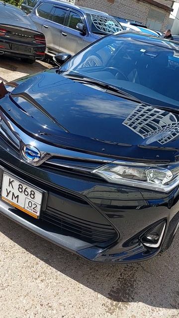 Круговой обзор Toyota Fielder 2019 комплектация  HV GWxB