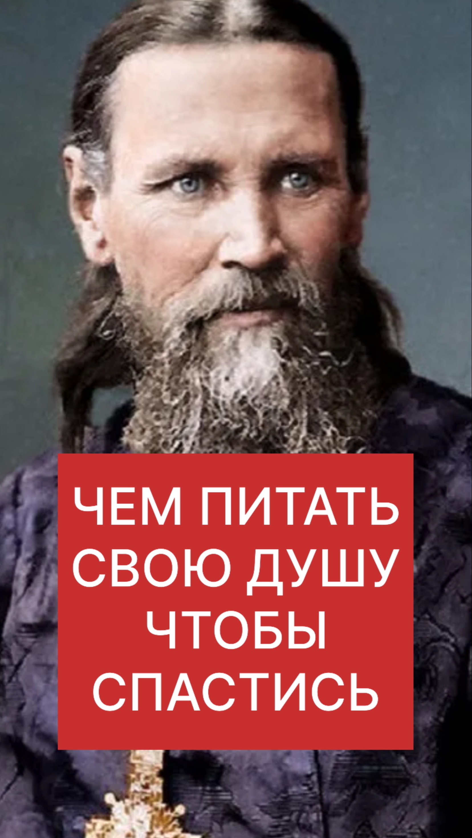 ЧЕМ ПИТАТЬ ДУШУ ДЛЯ СПАСЕНИЯ