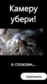 спокойствие