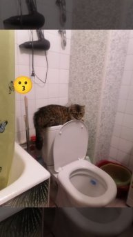 YouCut_20250430_205026655.mp4