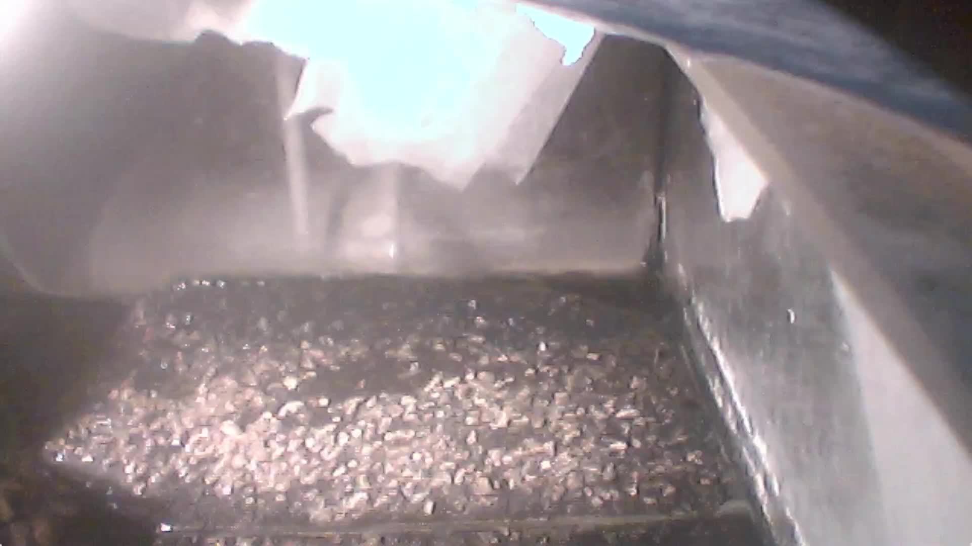 Красноухие черепахи 04.05.2025 утро