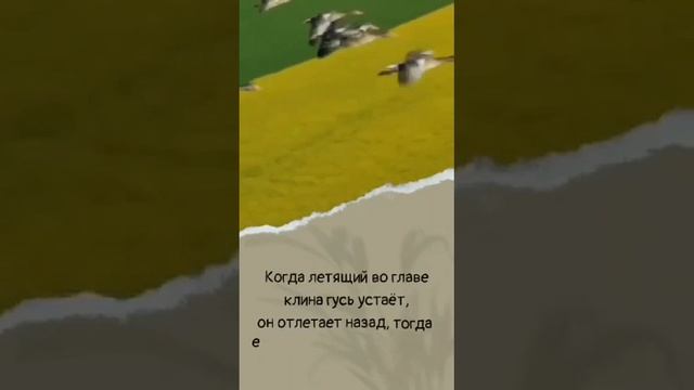 VID-20250504-WA0005.mp4