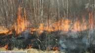 В Забайкалье осложняется ситуация с природными пожарами