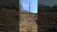 ИЗ ИСТОРИИ ГАГРЫ, КАК КУРОРТА
