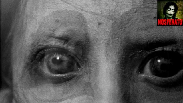 Привет из зазеркалье.  Страшные истории на ночь 🫣🫣🫣