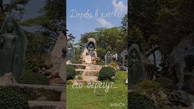 Дерево в клетке. Парк камней. Таиланд