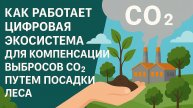 Как работает цифровая экосистема для компенсации выбросов CO₂: Часть 2