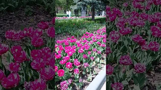 Каждый Может Заработать Пиши 💸💸