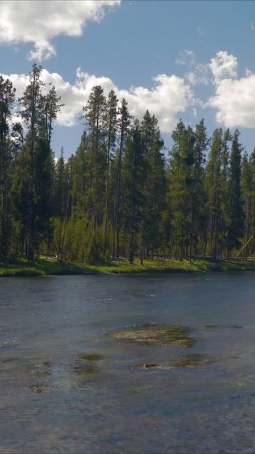 Йога в Единстве с Природой