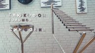 «Глюкофон большой и Симфония»