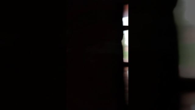 Мы уехали в Зарайск! Провели целый день там.