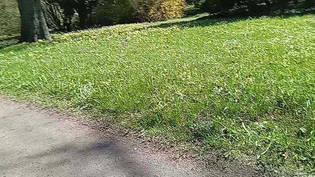 1000006592.mp4