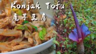 Konjak Tofu: Deciphering the Production Process of Konjac Tofu