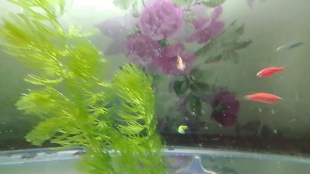 1000012625.mp4