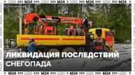В Подмосковье продолжают ликвидировать последствия снегопада - Москва 24
