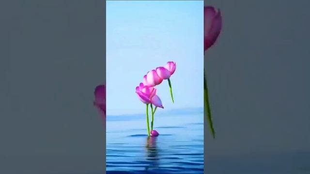 Город ночной. Одинокая женщина