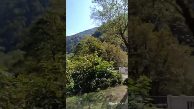 ЕДЕМ НА ОЗЕРО РИЦА И СЛУШАЕМ ЭКСКУРСОВОДА