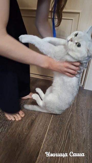 Я и Луна УС😜