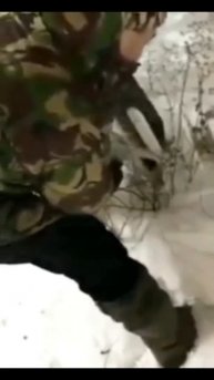 апокалипсис