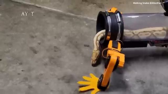 Змея удвигается в роботе (2023 год)