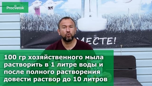 ТЛЯ БОИТСЯ ЭТОГО КАК ОГНЯ! Лучшее средство от тли без всякой химии