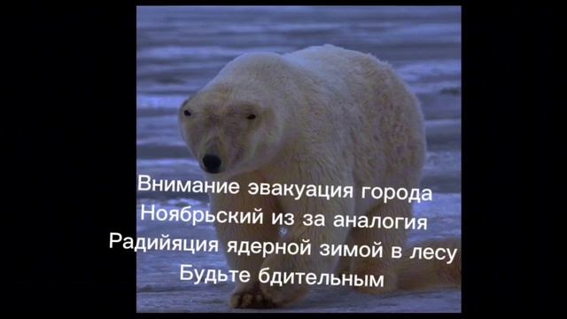 пожалуйста будьте бдительными