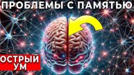 Как сохранить ПАМЯТЬ Ясной и Острой шаги, которые под силу КАЖДОМУ…