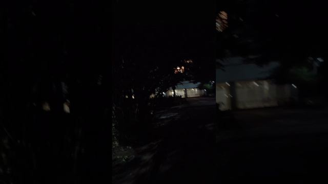 АБХАЗИЯ. ЦАНДРИПШ. ДОМ ОТДЫХА,, ПСОУ". ВЕЧЕР